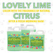 Load image into Gallery viewer, Watch Dog® All Purpose Citrus Paint Remover Gel - Lovely Lime - 1 Quart Sample