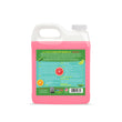 Load image into Gallery viewer, Watch Dog® All Purpose Citrus Paint Remover Gel - Ruby Red - 1 Quart Sample