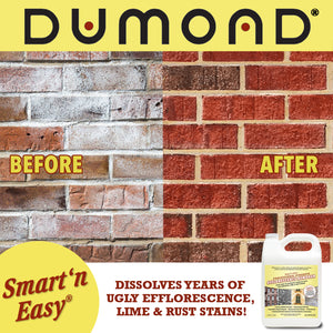 Smart 'n Easy™ Efflorescence Remover