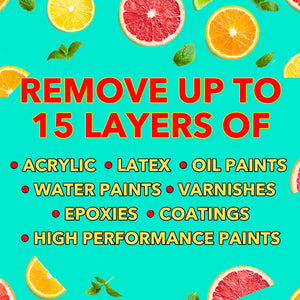 Watch Dog® All Purpose Citrus Paint Remover Gel